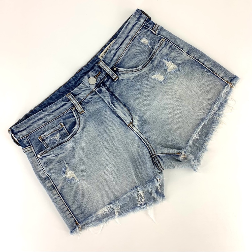 Blank NYC Tinder Troll Distressed Denim Hiker Shorts, 29